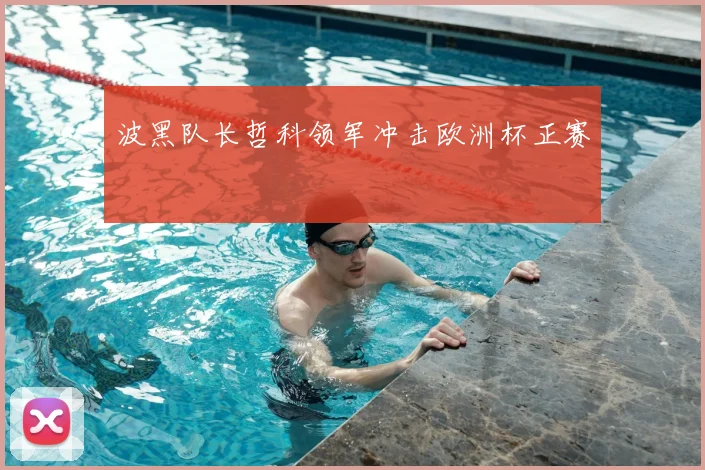 波黑队长哲科领军冲击欧洲杯正赛
